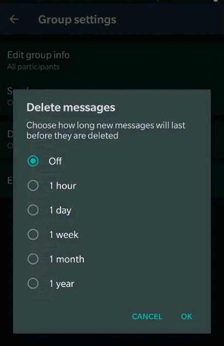 selfdestruction-message-whatsapp